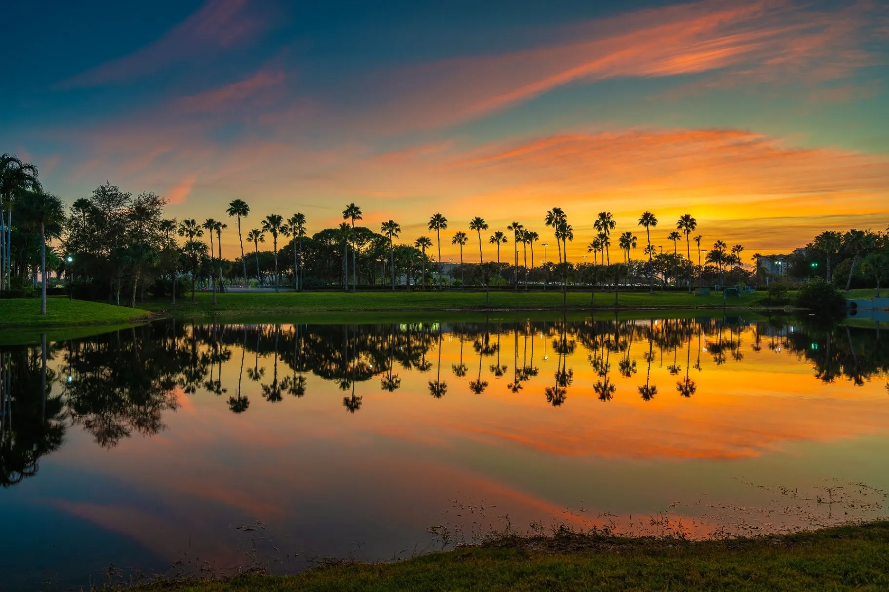 Palm trees reflected in a calm pond at sunset